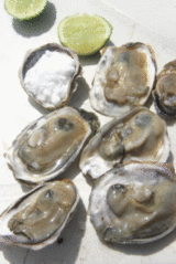 ��Ω�����硡����������