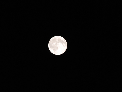 CSC_0108