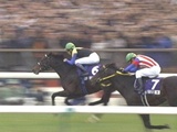 JC2006