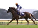 天皇賞馬 ダイワメジャー