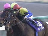 ディープインパクト 有馬記念最終コーナー