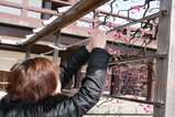 06dc4058.JPG