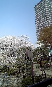 c71668a4.jpg