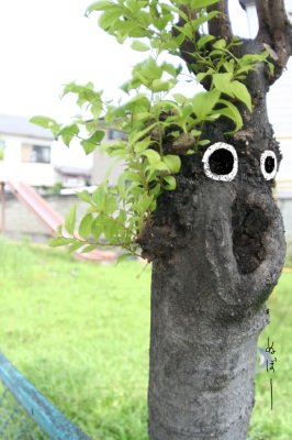 ぬぼー。