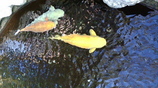 F1000798