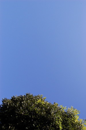 ½©¤Î¶õ