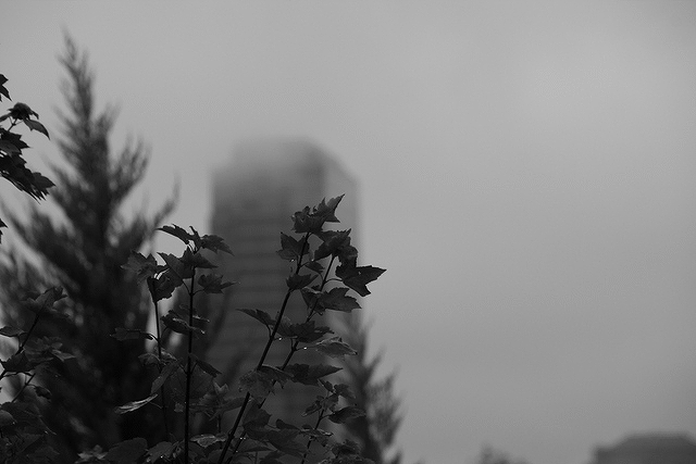 ½©±«