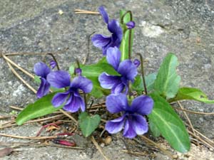 060402-2.JPG
