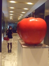 4116346d.JPG