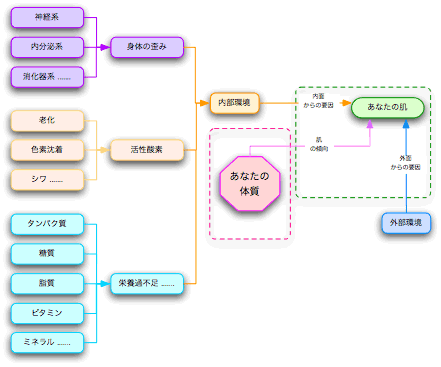 20050821肌内面管理