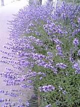 20060701䤨٥