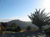 山