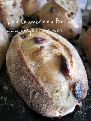 ドライクランベリーパン