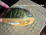 2010_02_21_pumpkin