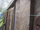 2010_03_02_fence