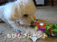 ちび