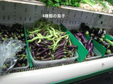 茄子類