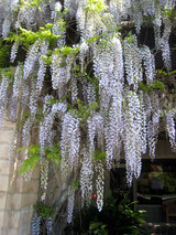 2010_04_07_far