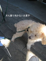 ちび