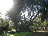 2010_02_15_oaktree