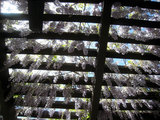 2010_04_07_hanging