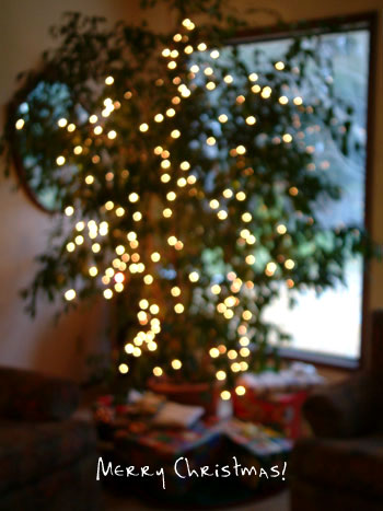 Xmas tree