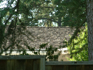 隣の屋根（１）