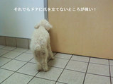 2010_02_03_door3