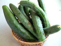 庭で取れた胡瓜