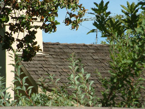 お隣さん（３）