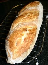 いづ吉さん　2度目