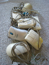 2010_04_17_mouse
