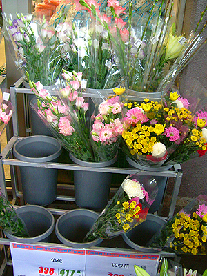 スーパーの花売り場でハロウィンカボチャを買ってみる 花きネットブログ