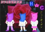 H☆C紹介