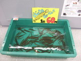 yameya-3