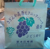 bodou-5