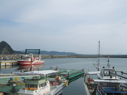 kazusa-2