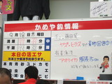 kameya-9