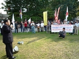 15eb08e4.JPG