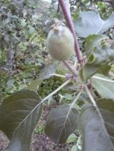 b3f11342.jpg