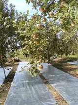 e16d574b.jpg