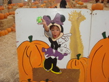 pumpkin patch