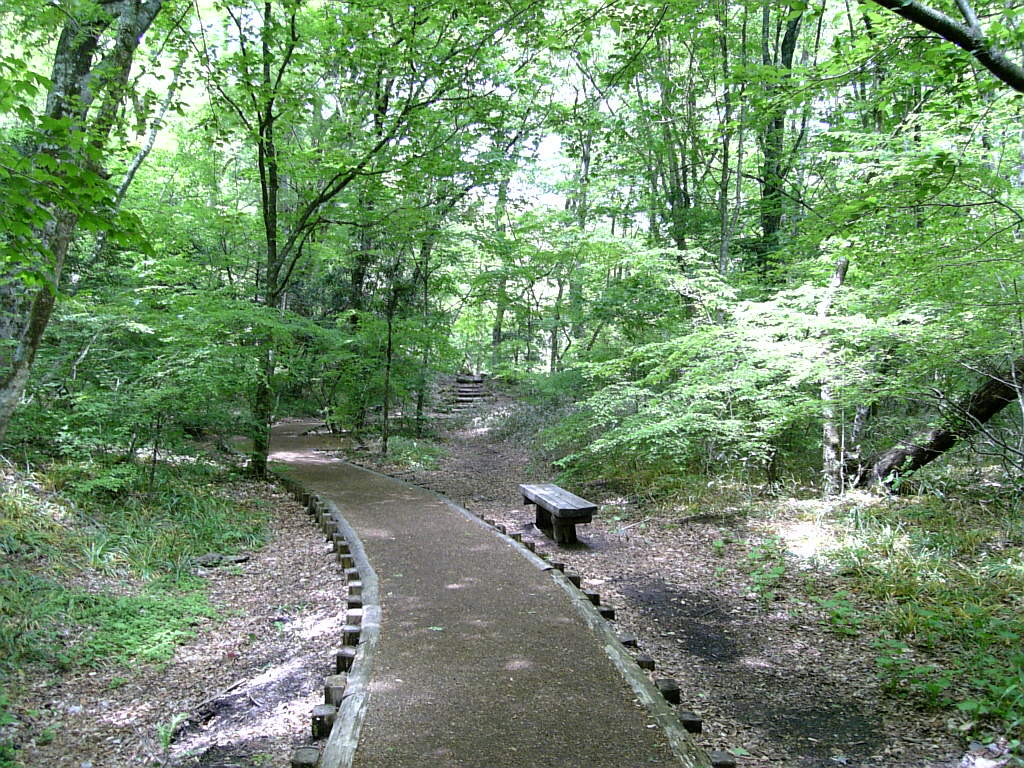 大分 県道の旅621号線
