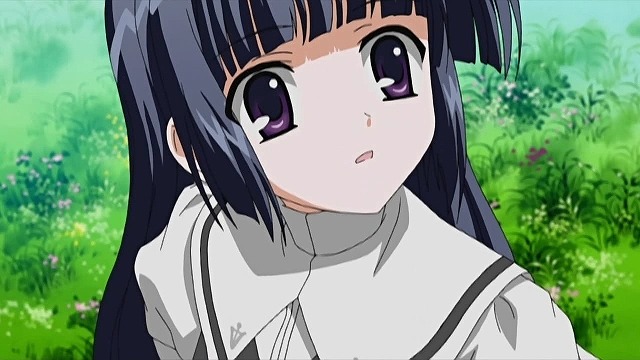 ささやんにっき ｈ２ｏキャラ人気投票 かしこま