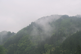 秩父の山