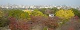 fukuoka_jyousi